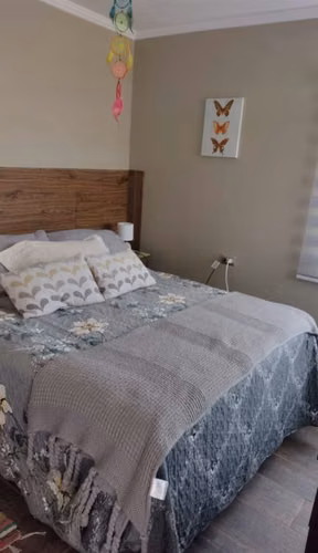 Vendo Parcela AgroResidencial con casa |Valle de Elqui | La Serena - Imagen 12