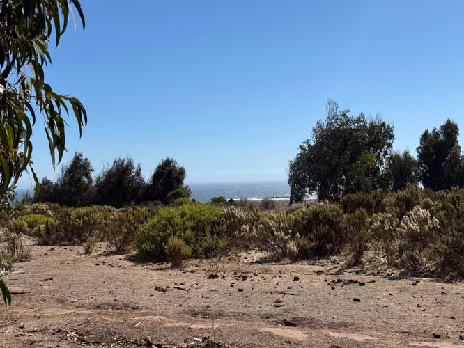 ESPECTACULAR OPORTUNIDAD 2 TERRENOS DE 5000MT (173111)