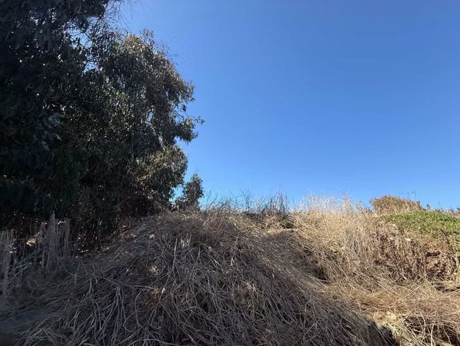 ESPECTACULAR OPORTUNIDAD 2 TERRENOS DE 5000MT (173111)