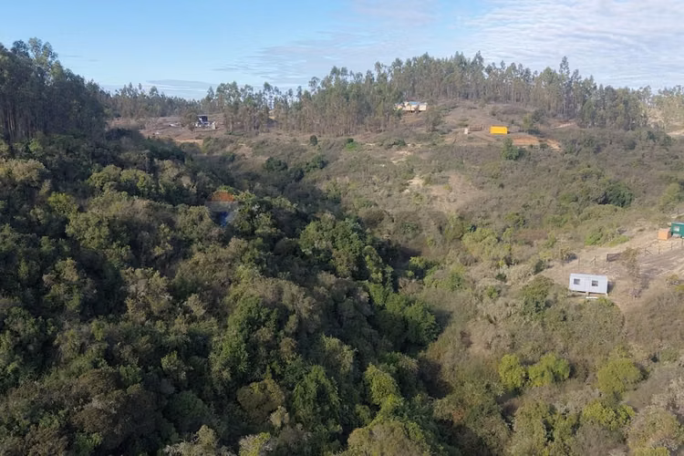 Terreno 1 ha entre litueche y rapel