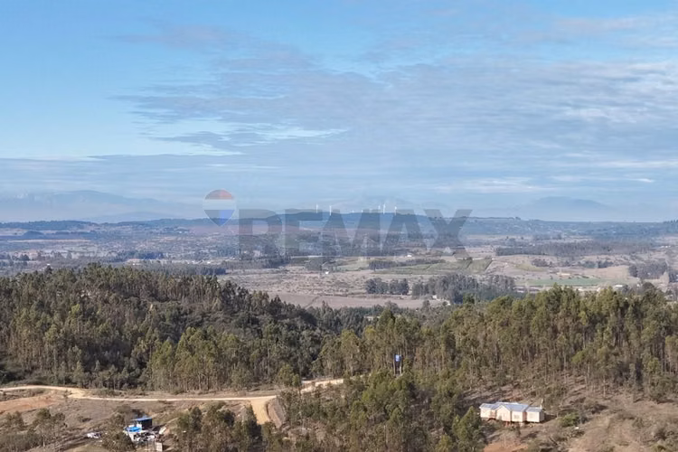 Terreno 1 ha entre litueche y rapel