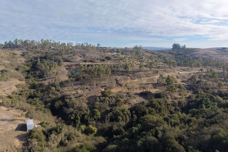 Terreno 1 ha entre litueche y rapel