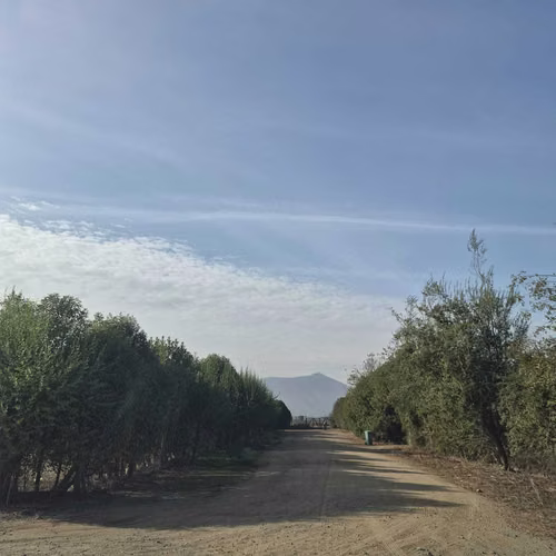 Parcela en Venta Calera de Tango 5.100 m²   (173162)