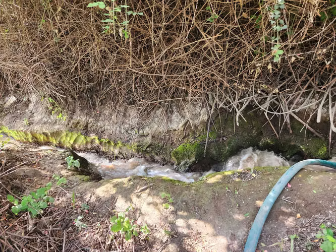 Hacienda de 5.000 m² en Lo Cañas con riego (173166)
