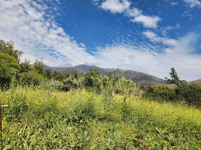 Hacienda de 5.000 m² en Lo Cañas con riego (173166)