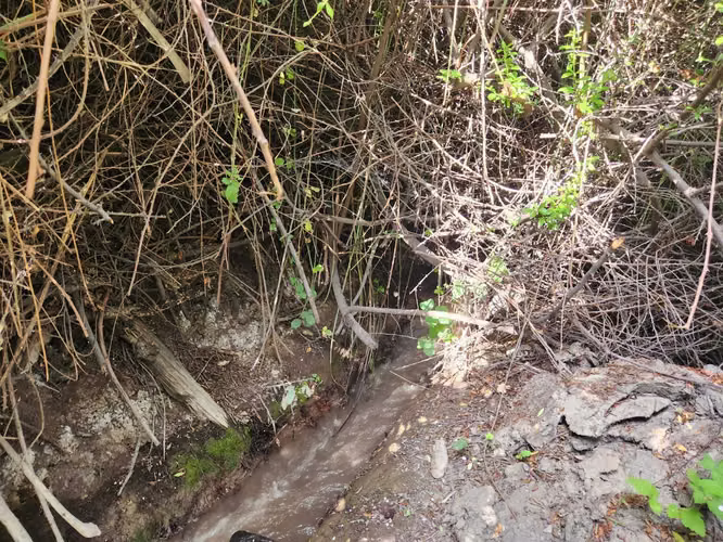 Hacienda de 5.000 m² en Lo Cañas con riego (173166)