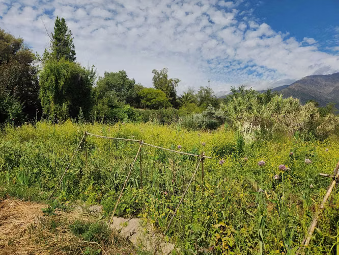 Hacienda de 5.000 m² en Lo Cañas con riego (173166)