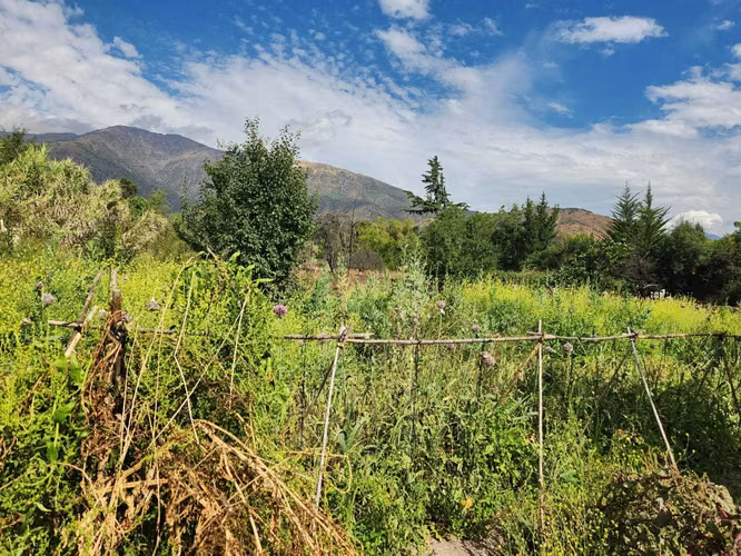 Hacienda de 5.000 m² en Lo Cañas con riego (173166)