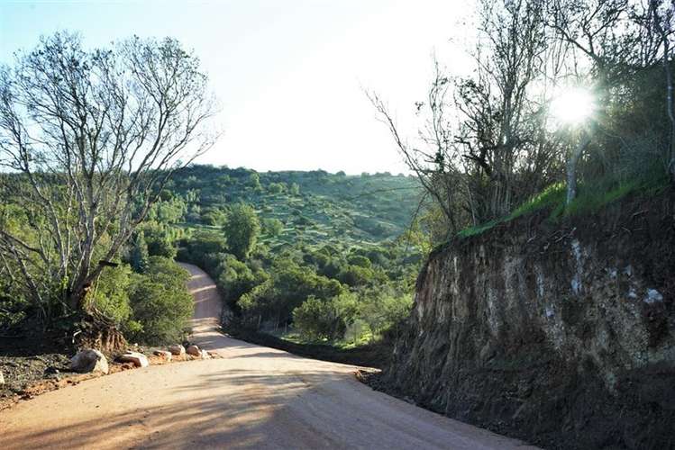 Parcelas en oferta a 2:30 horas de Santiago - Imagen 14