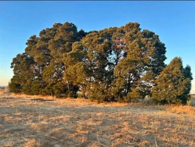 Parcela en venta en Talca