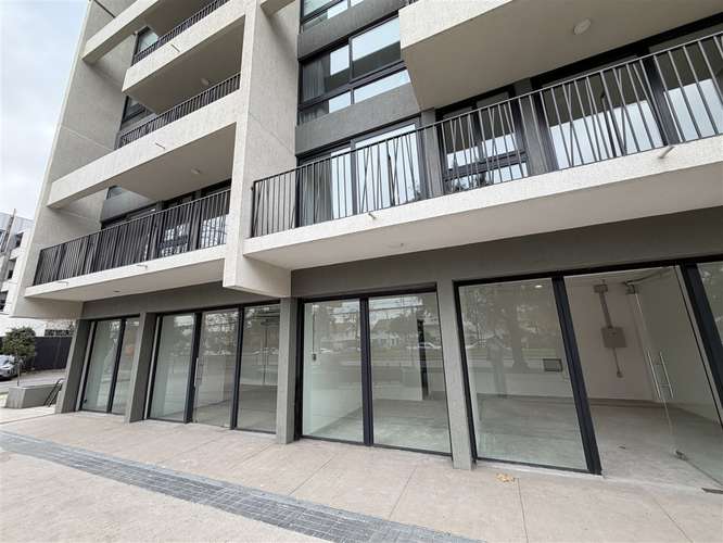 LOCAL COMERCIAL Francisco de Paula - Imagen 4