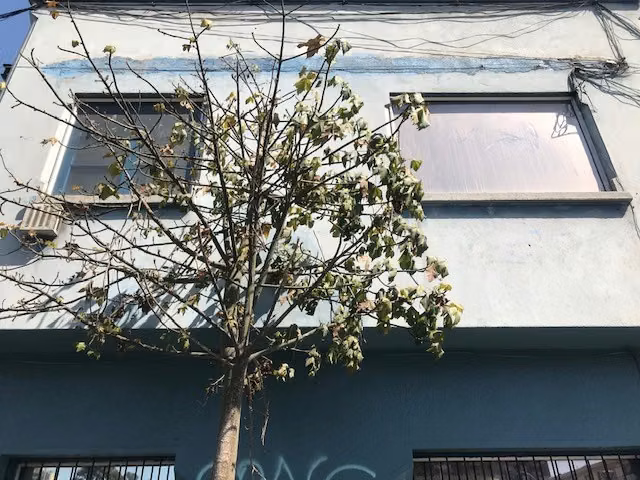 LOCAL COMERCIAL PORTUGAL