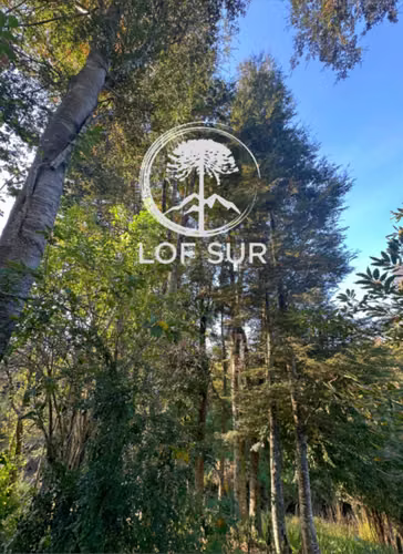 Pucón Los Riscos Terreno Ideal para Proyectos (173200) - Imagen 21