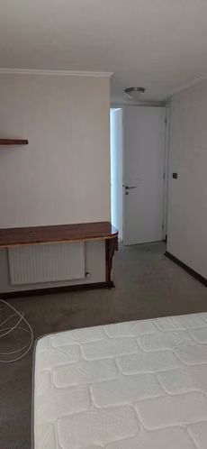(173135)