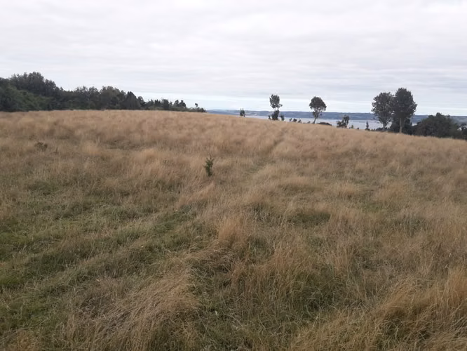 VENTA TERRENO - SITIO 5MTS Castro