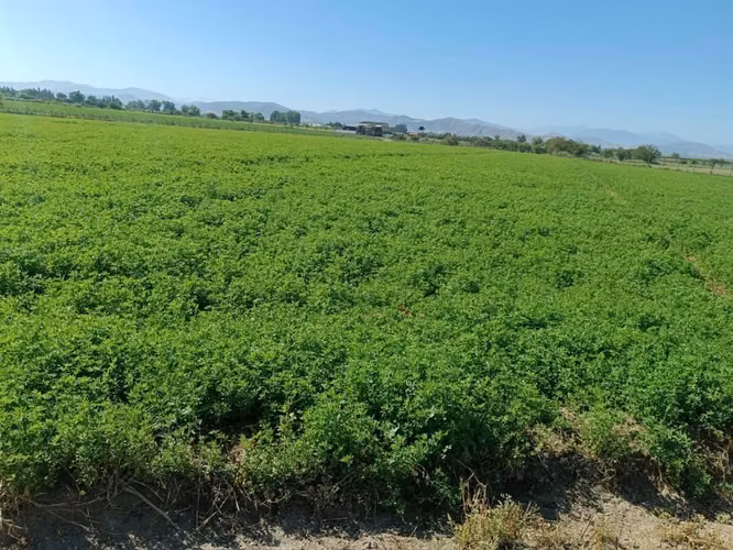 VENTA DE TERRENO