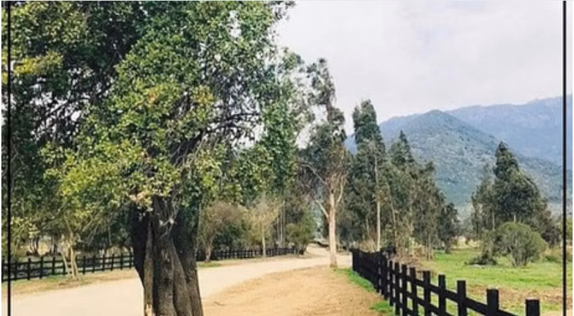 ¡Gran Oportunidad! Terreno en PELEQUÉN de 5000 m2