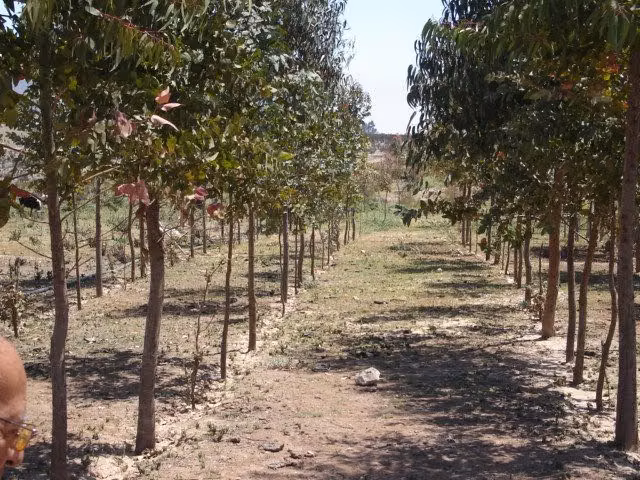 Negocio De Inversión Terreno Sector Pan De Azúcar Coquimbo - Imagen 3