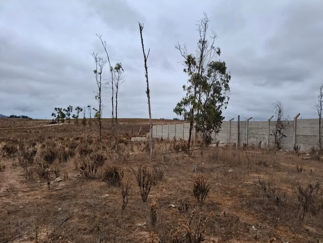 Negocio De Inversión Terreno Sector Pan De Azúcar Coquimbo - Imagen 7