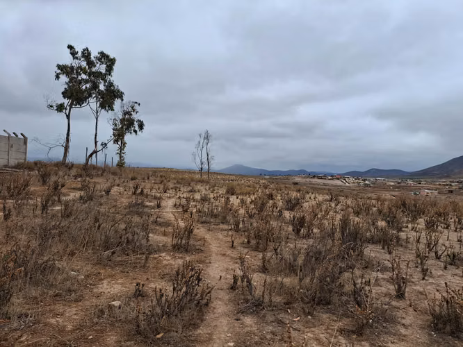Negocio De Inversión Terreno Sector Pan De Azúcar Coquimbo - Imagen 5