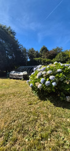 CASA EN VENTA EN PARQUE EDELWEISS, A 7 KM DE PUERTO VARAS - Imagen 14
