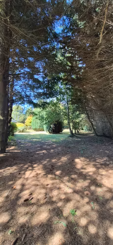 CASA EN VENTA EN PARQUE EDELWEISS, A 7 KM DE PUERTO VARAS - Imagen 6