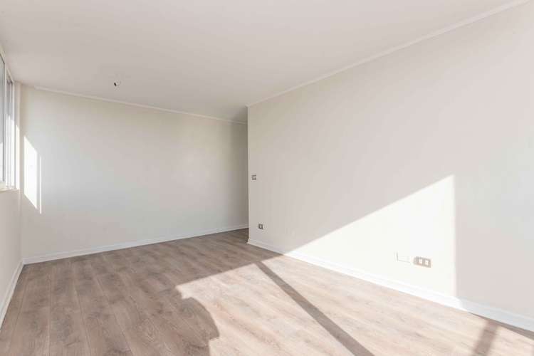AMPLIO 3D2B CON TERRAZA EN MACUL - Imagen 20