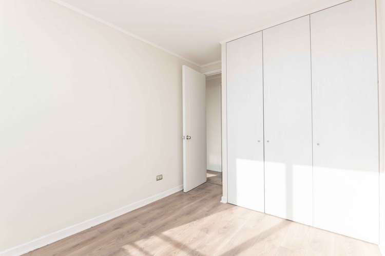 AMPLIO 3D2B CON TERRAZA EN MACUL - Imagen 30