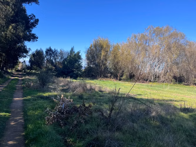 Parcela  6.000 mtrs2 en el Hermoso Valle de Colchagua