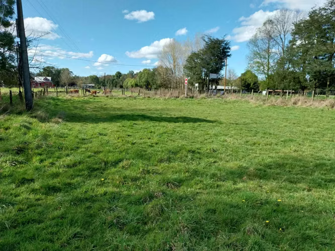 ENTRE LAGOS /PUYEHUE (171564)
