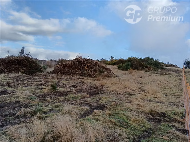 PARCELA EN VENTA - SECTOR CURACO DE VILUPULLI - CHONCHI.