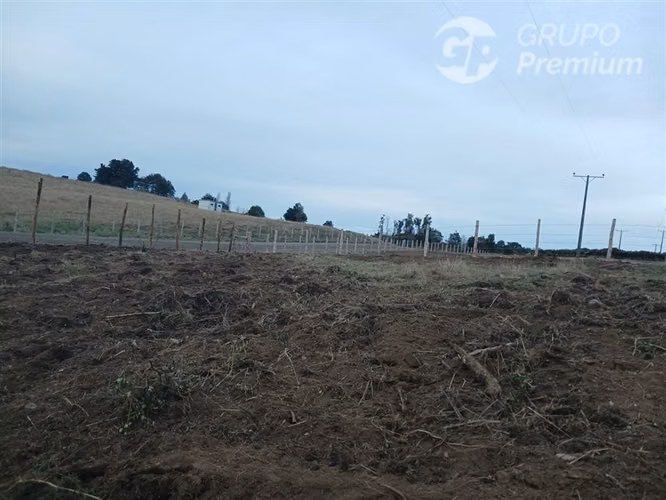 PARCELA EN VENTA - SECTOR CURACO DE VILUPULLI - CHONCHI.
