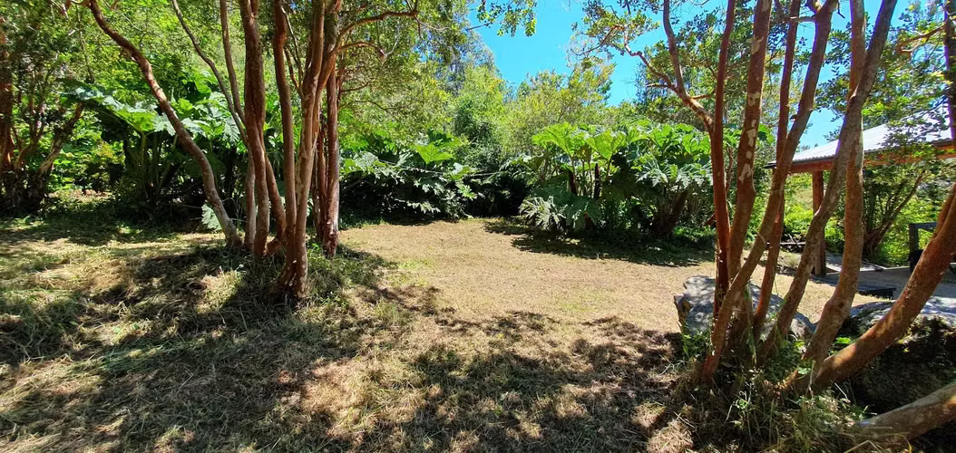 SE VENDE PARCELA con CABAÑA LAGO RIÑIHUE (173243)