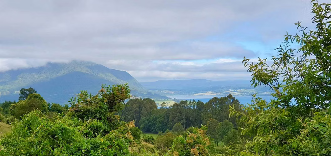 SE VENDE PARCELA con CABAÑA LAGO RIÑIHUE (173243)