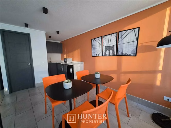 Depto en arriendo de 1D, 1B, 1B en Santiago, Parque Almagro - Imagen 16