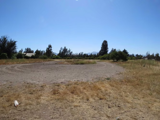 2 parcelas en venta de 5.000m2 c/u Mallarauco (173464)
