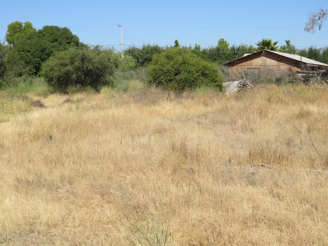 2 parcelas en venta de 5.000m2 c/u Mallarauco (173464)