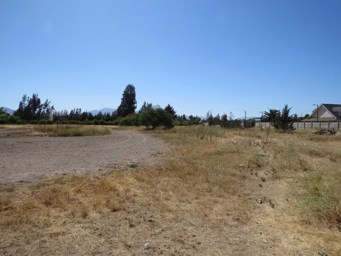 2 Parcela de 5.000m2 c/u en venta. Mallarauco (173464) - Imagen 4