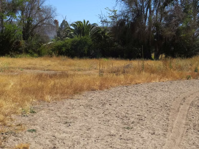 2 parcelas en venta de 5.000m2 c/u Mallarauco (173464)