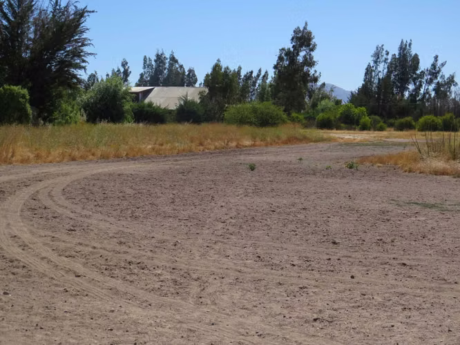 2 Parcela de 5.000m2 c/u en venta. Mallarauco (173464) - Imagen 6