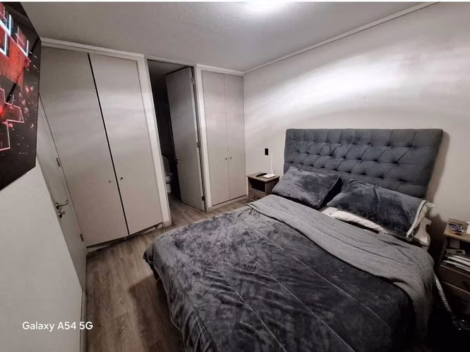 (173473)