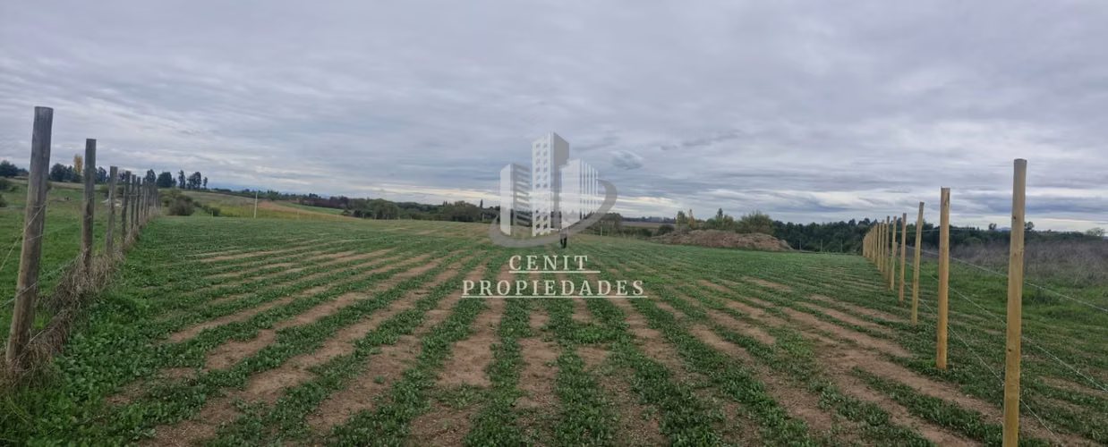 VENTA DE PARCELA SUR-ORIENTE DE TALCA