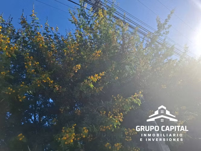 Terreno Urbano 6.250 M² en Av. Alberdi