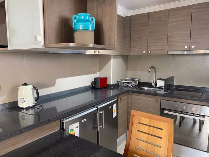 Hermosos Departamento Amoblado Stgo Centro (173492)