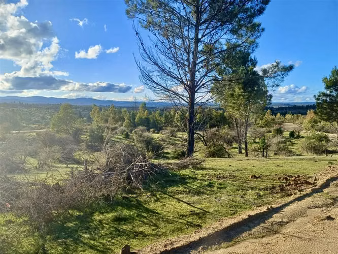 Parcelas en Cauquenes entrega inmediata 5.000m2 planas