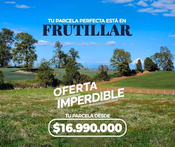 Parcelas en Prados de Frutillar liquidación oferta 5000m2