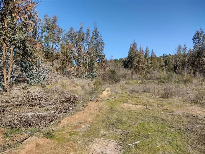 Parcelación a Orilla De Pavimento En Paredones 5000m2 oferta