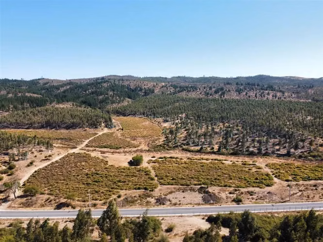 Parcelación a Orilla De Pavimento En Paredones 5000m2 oferta