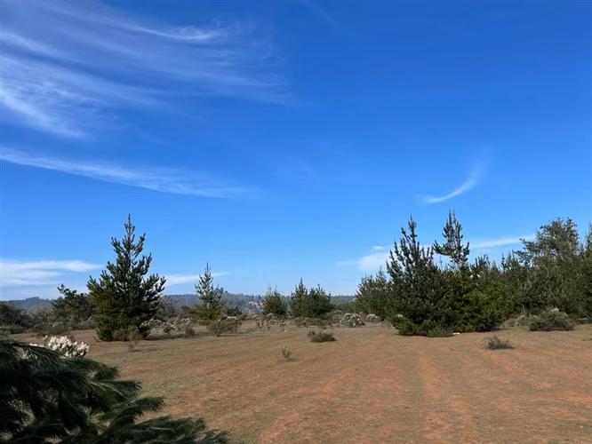 PARCELAS EN PICHILEMU ULTIMAS UNIDADES EN CIRUELOS OFERTA