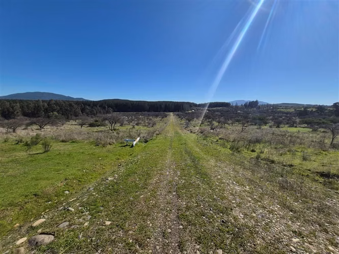 Parcelas en Chillán rol propio a min de San Nicolás crédito